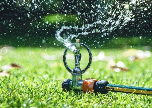 Butterfly Sprinkler